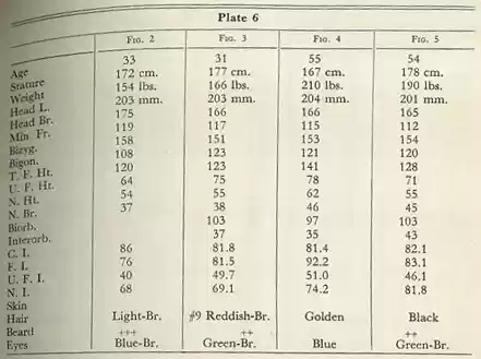 Plate 6
